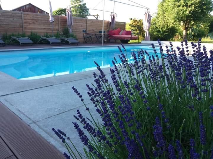 Chambres D Hotes ,Hotel ,Secret D'Une Nuit A Vicq Pres De Onnaing,Avec Piscine Eksteriør billede